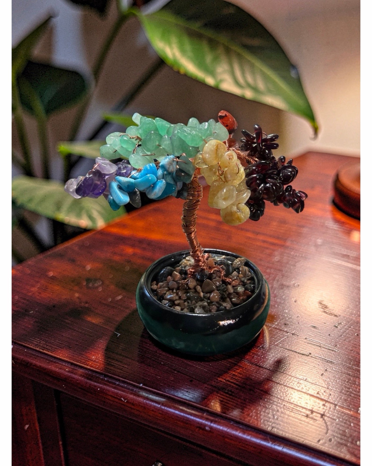 CHARKA TREE