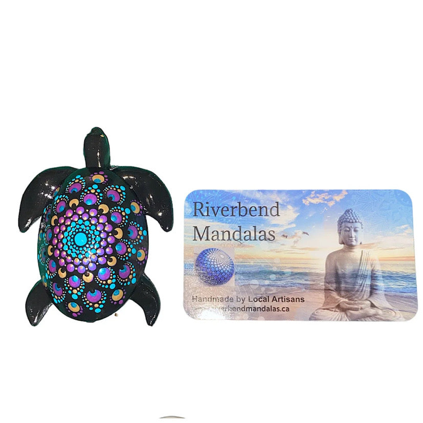 Galaxy Turtle
