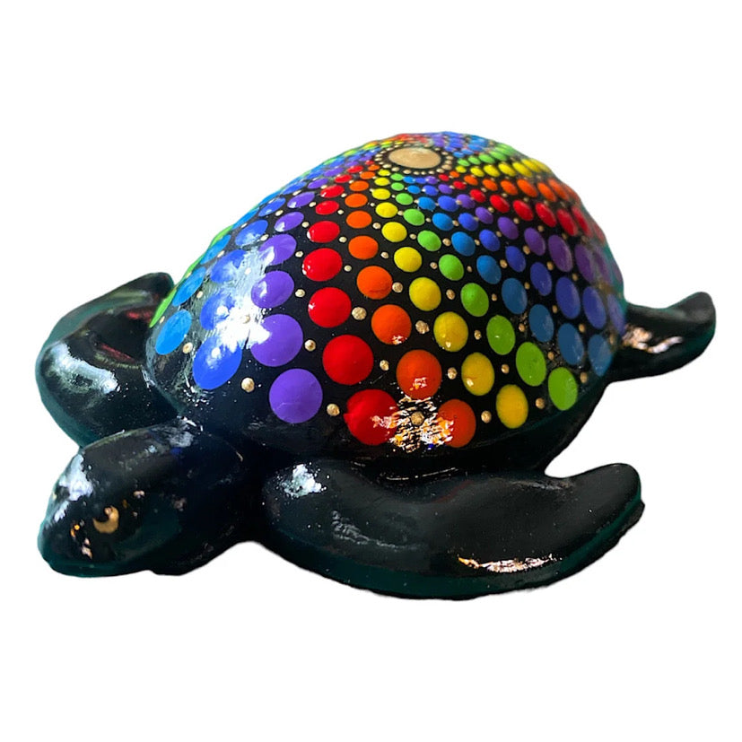Rainbow Turtle