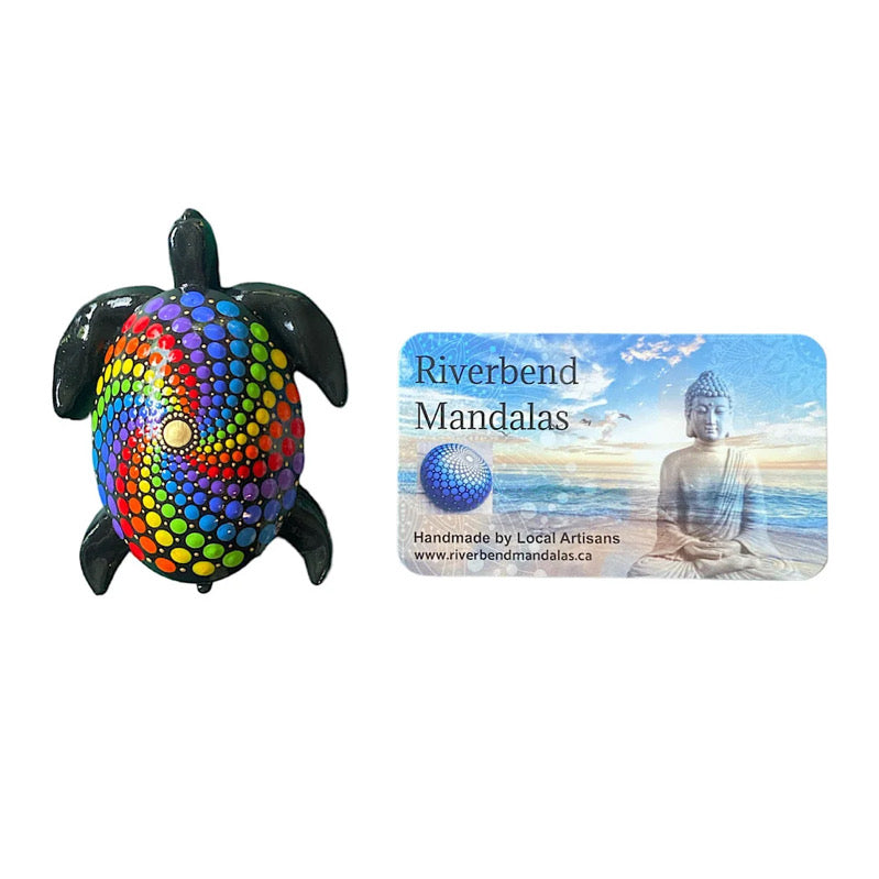 Rainbow Turtle