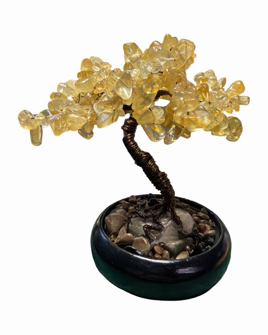 CITRINE TREE •success •strength •abundance