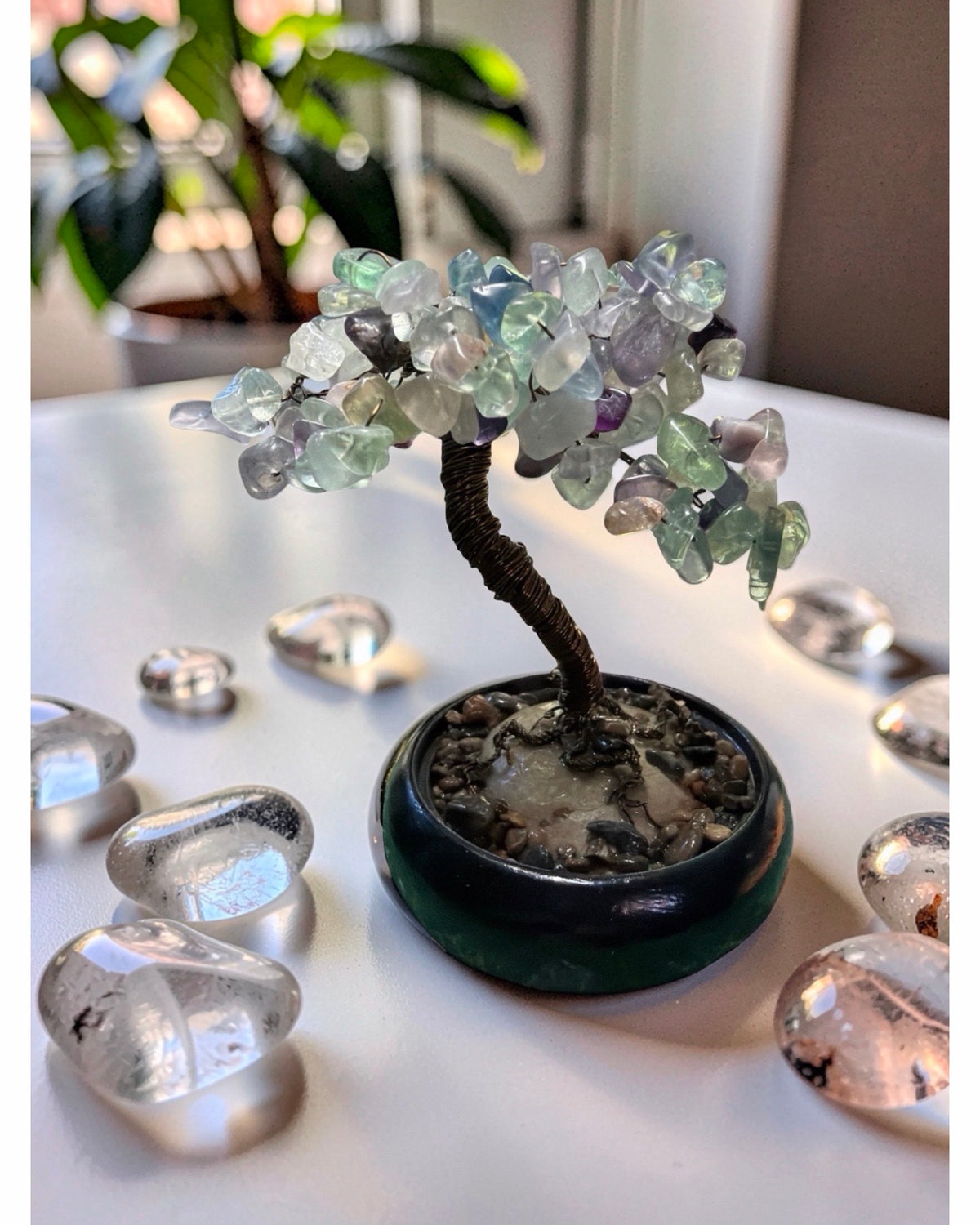 FLUORITE TREE •focus •protection •intuition