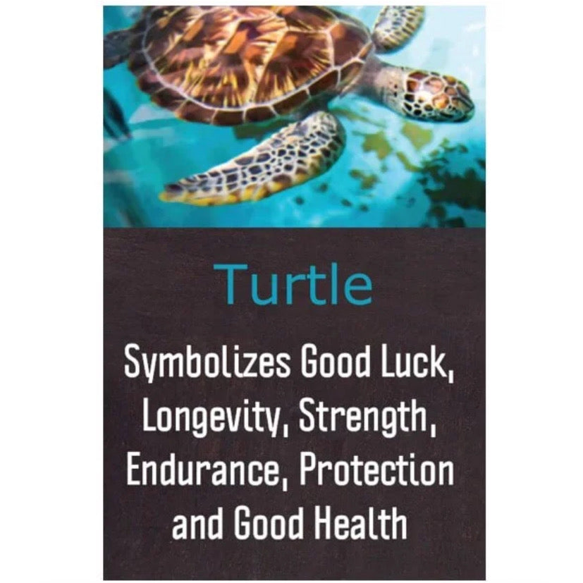 Galaxy Turtle