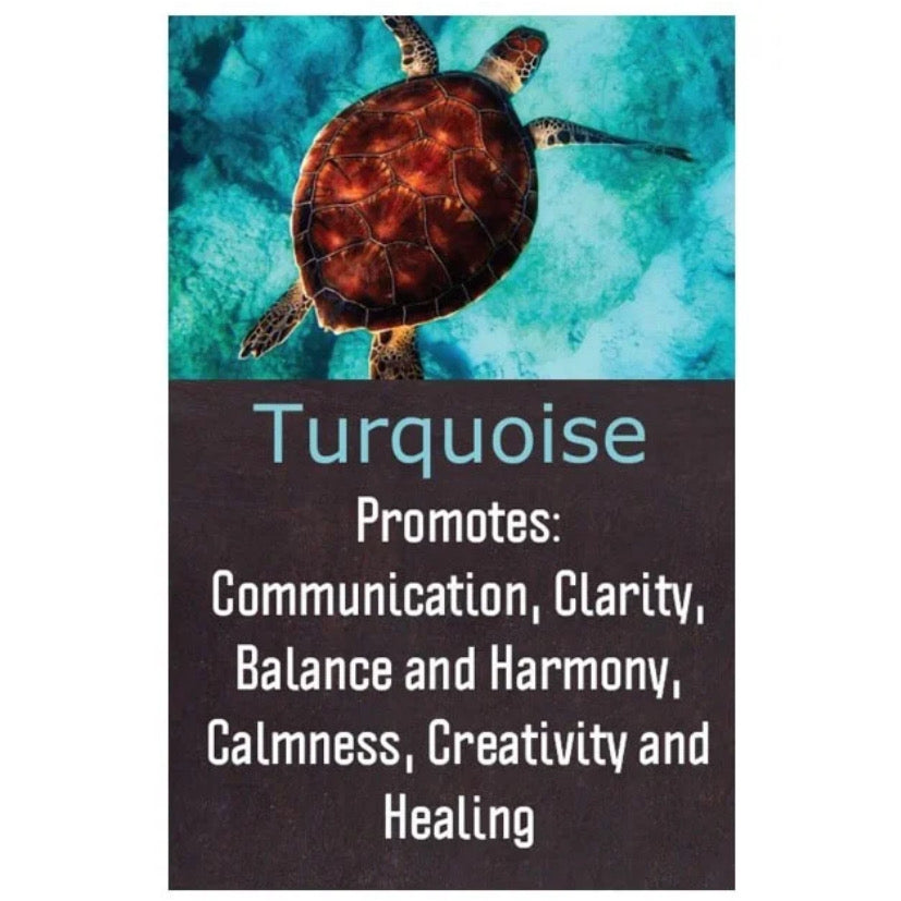 Turquoise Turtle