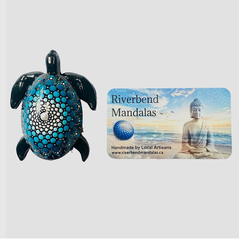 Turquoise Turtle