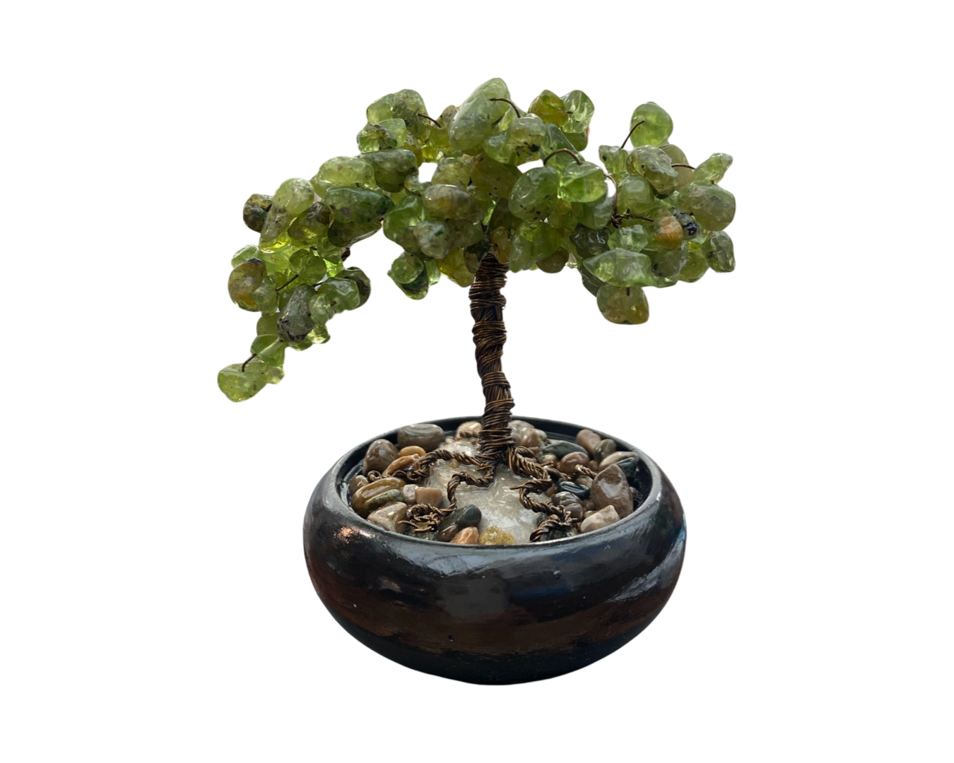 Peridot Tree in Pot