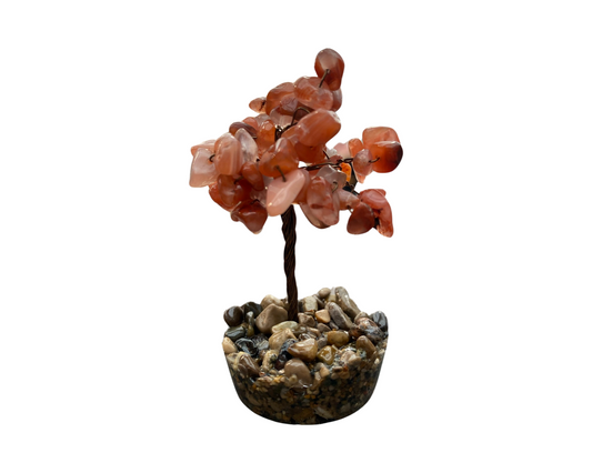 Mini Carnelian Tree