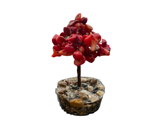 Mini Red Coral Tree